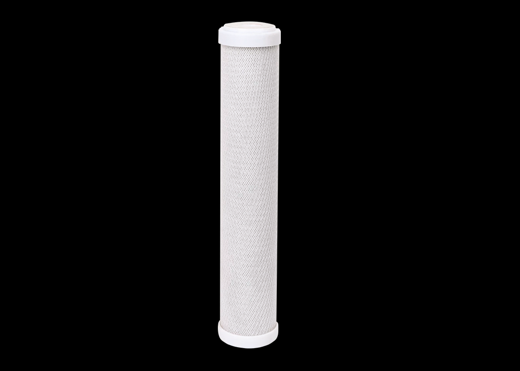 Carbon Block de 20'